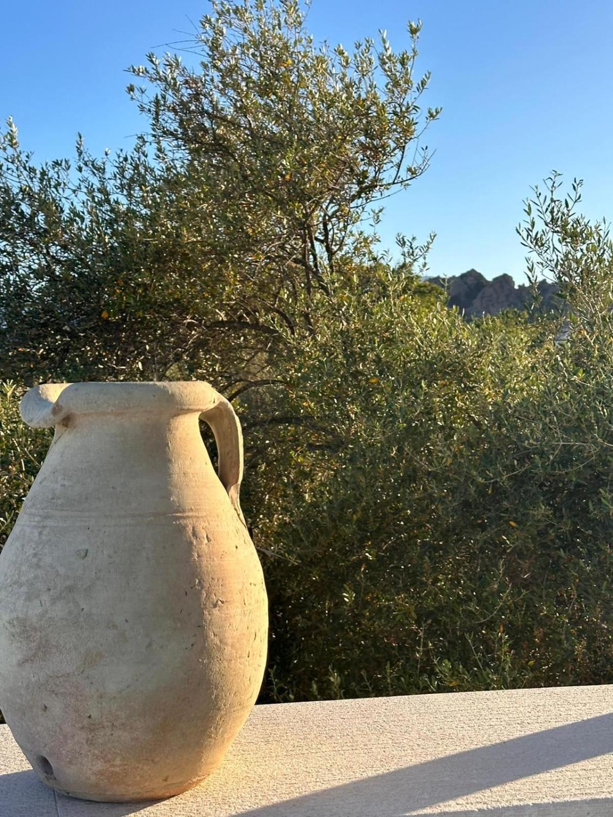 Vireo Rooms Santa Maria Navarrese Dış mekan fotoğraf